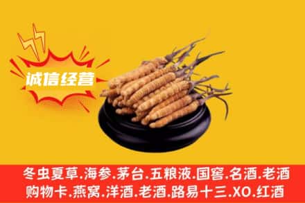 银川市灵武回收冬虫夏草